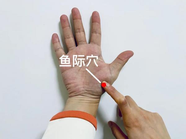 图片来源于供稿单位 图片